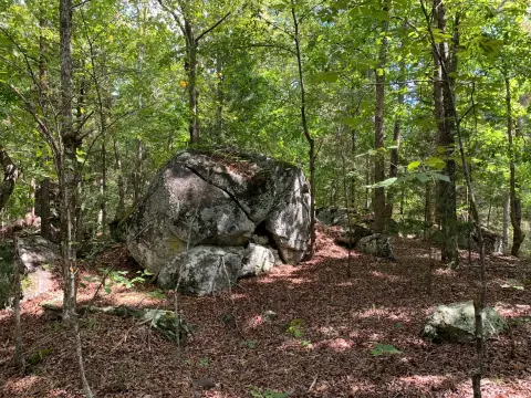 Abbeville Vacant Land Opportunity