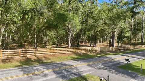 Buildable Homesite with Mature Oaks