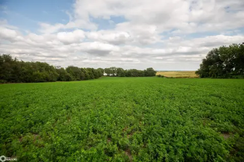 Alfalfa-Producing Farmland