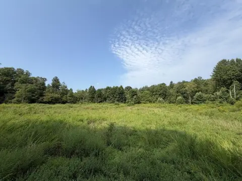 Hunting Land with Creek