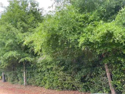 Unrestricted Residential Land Available