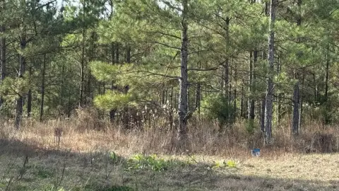 Mixed-Terrain Hunting Land