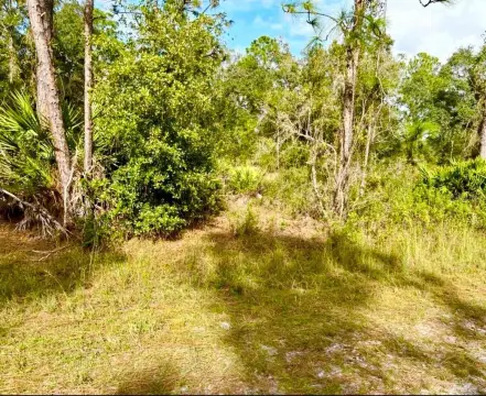 Half-Acre Lot in Golf Community