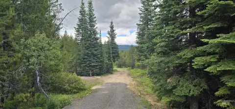 Recreational Residential Land Tract