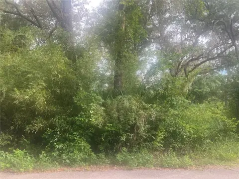 Vacant Residential Lot in R3