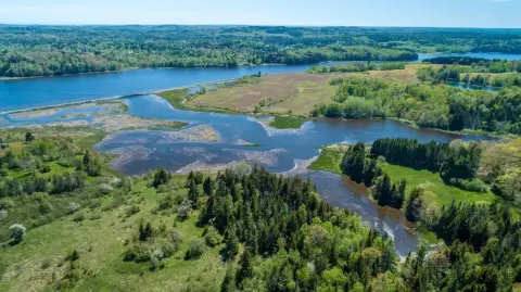 Waterfront Land on Machias River