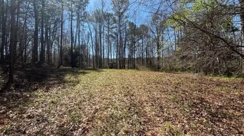 Residential Agricultural Land in Conyers