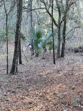 Crescent City Land For Sale