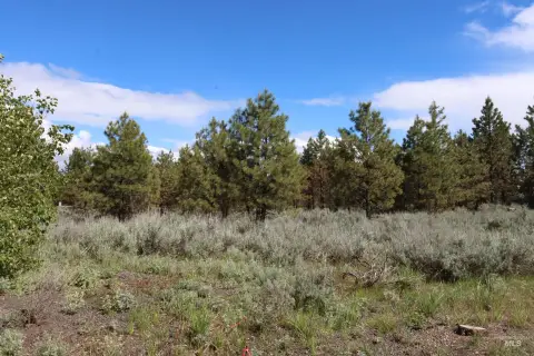 Timbered Residential Homesite Lot