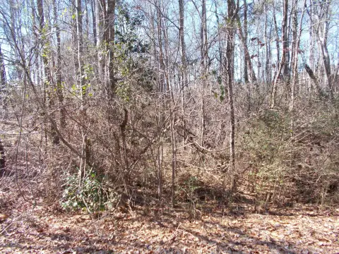 Land For Sale, Jasper, AL