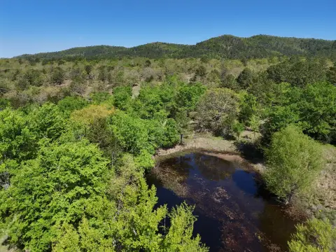 9.2 Acres Vacant Land