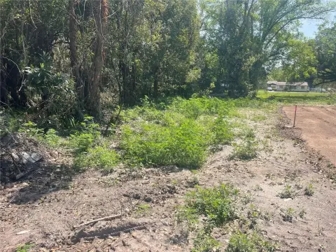 Residential Land in Orlando, FL