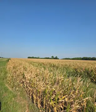 Agricultural Land Tract