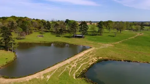 Pasture Land with Ponds and Pines