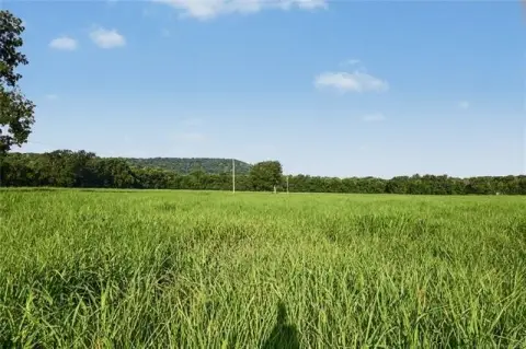 Pastureland with Highway Frontage
