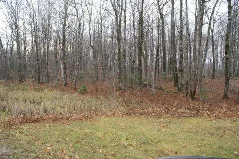 Hunting Land with Trails