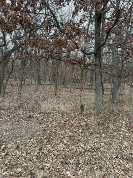 Wooded Lot Near Illinois River