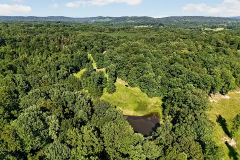 Land with Pond