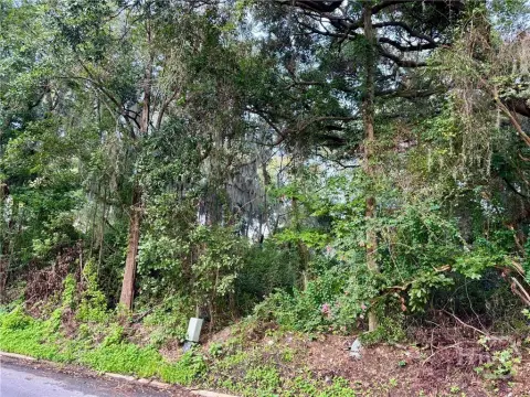 Savannah Buildable Lot For Sale
