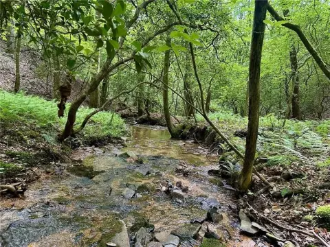 Creek-Front Residential Acreage