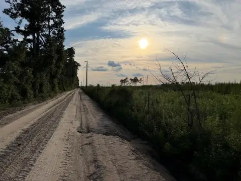Cleared Agricultural Land Tract