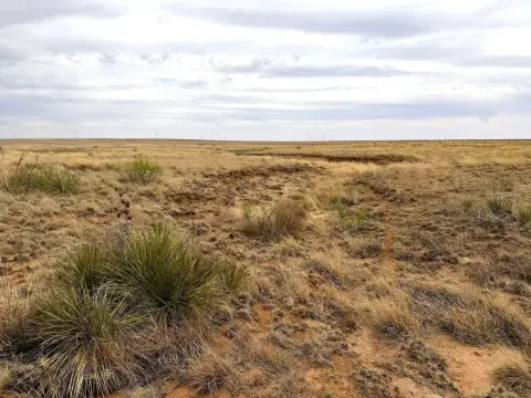 Texas Panhandle Vacant Land