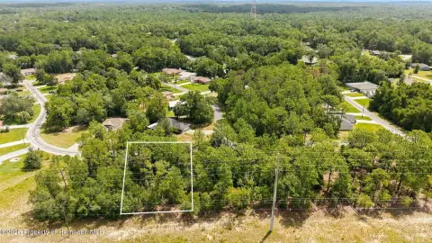 Wooded Residential Homesite