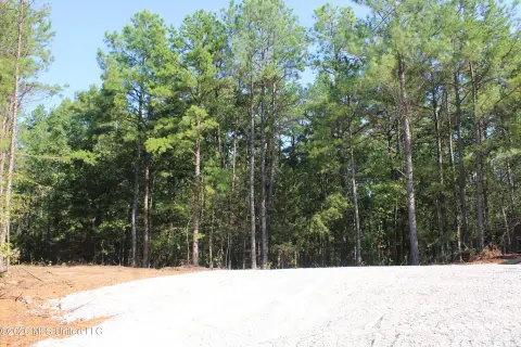 Hunting Land with Internal Trails