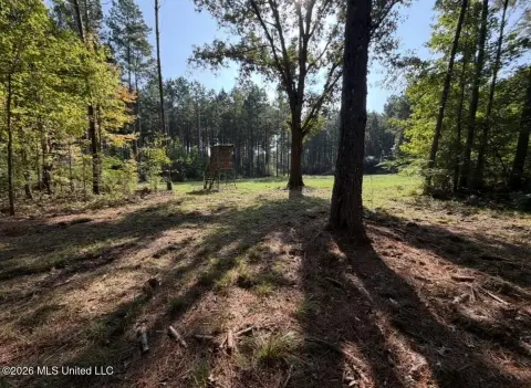 Wooded Hunting Land