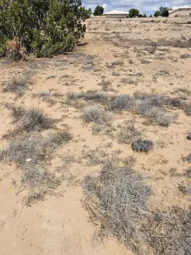Albuquerque Land For Sale