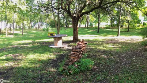 Commercial Land with Timber