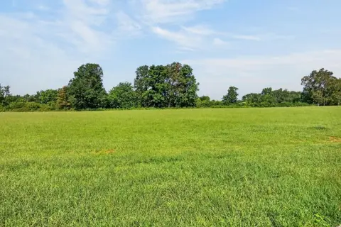 Cleared Residential Home Lot