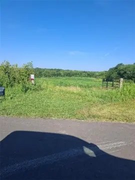 Agricultural Acreage with Paved Access