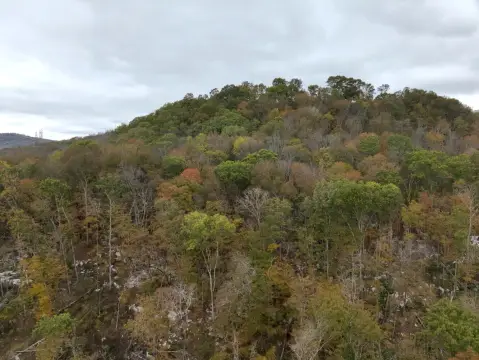 32 Acres Wooded Retreat