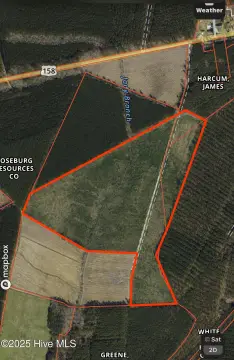 94-Acre Pine Plantation Investment