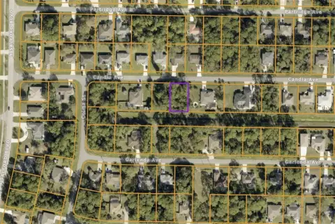 Residential Land in North Port