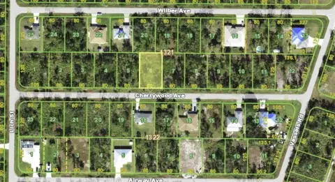 Residential Land in Punta Gorda