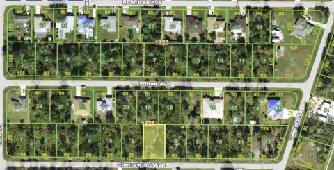 Residential Land in Punta Gorda