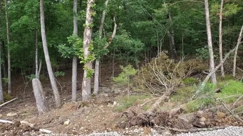 Residential Land in Overlook Subdivision