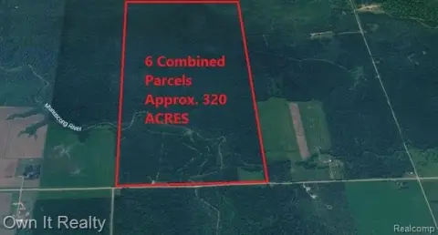 Forested Recreational Hunting Land Tract