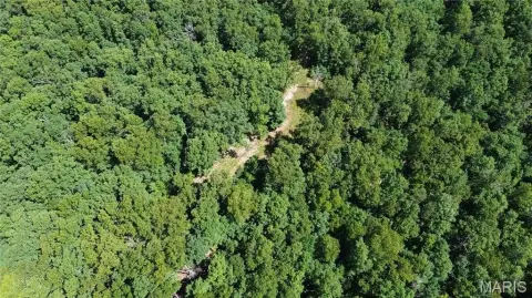Wooded Hunting and Recreation Land