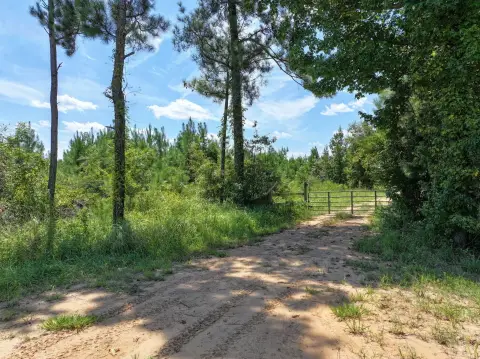 Highway Frontage Land in Petal