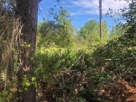 Secluded Hunting Land in Orlando
