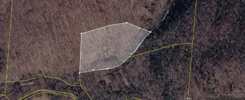 Wooded Recreational Land