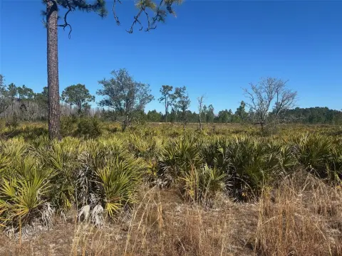 1.25 Acre Agricultural Land Parcel