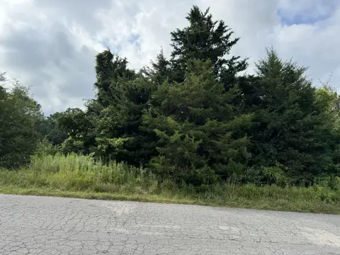 Land Lot in Brooklyn, MI