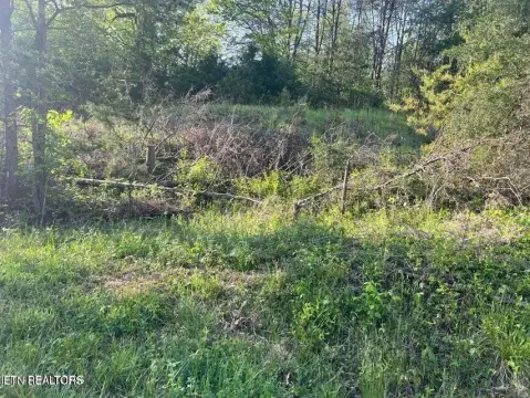 55 Acres in Sneedville, TN