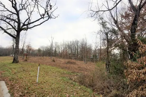 West Plains City Lot