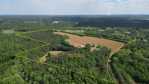 Agricultural Land and Two Homes