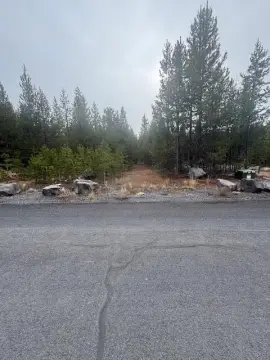 Buildable Lot Near Crescent Lake